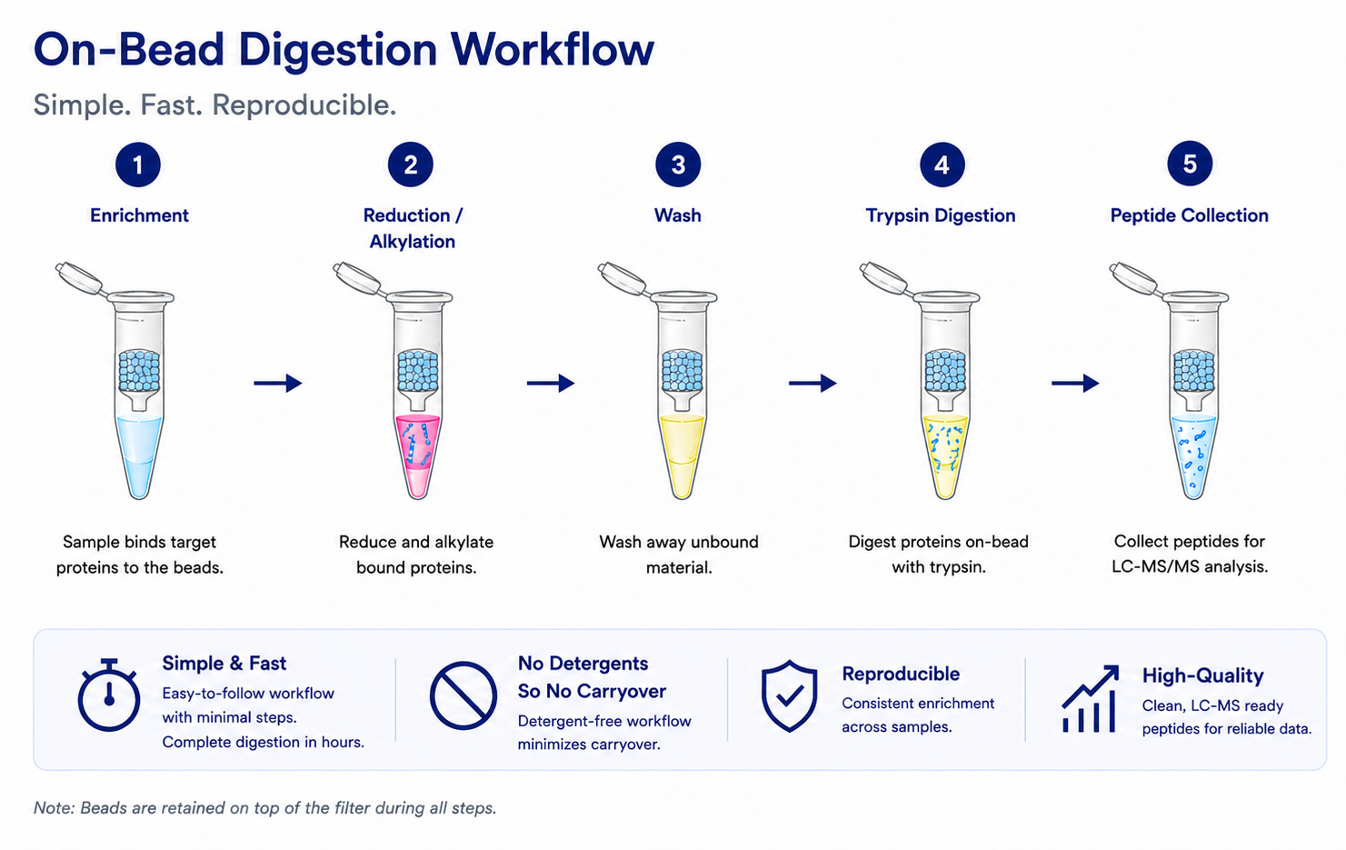On-bead digestion workflow